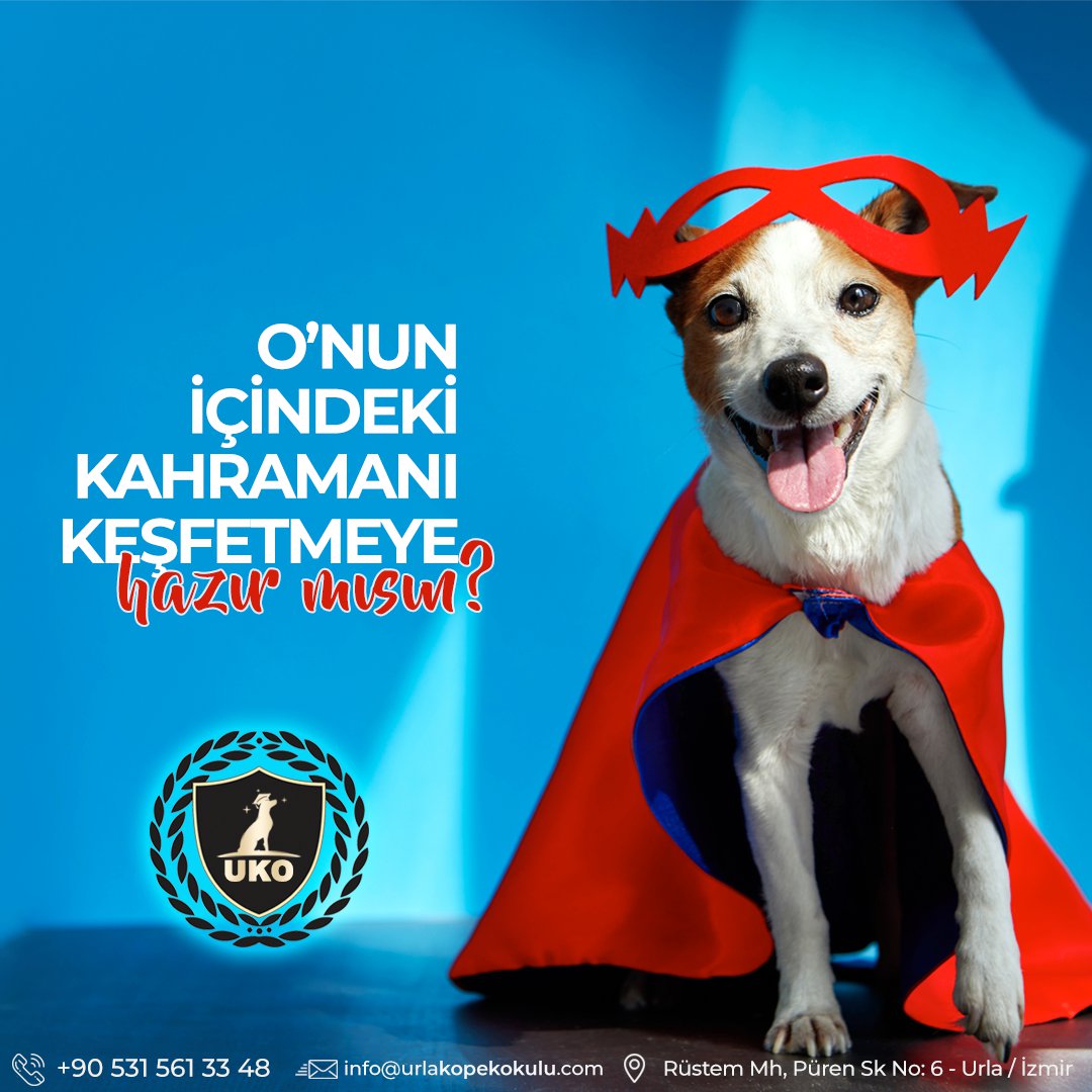 Urla Köpek Eğitimi